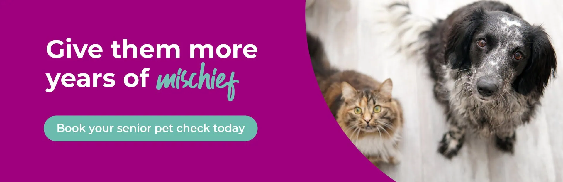 Vets in Guildford | Vets in Surrey | Oak Barn Vets