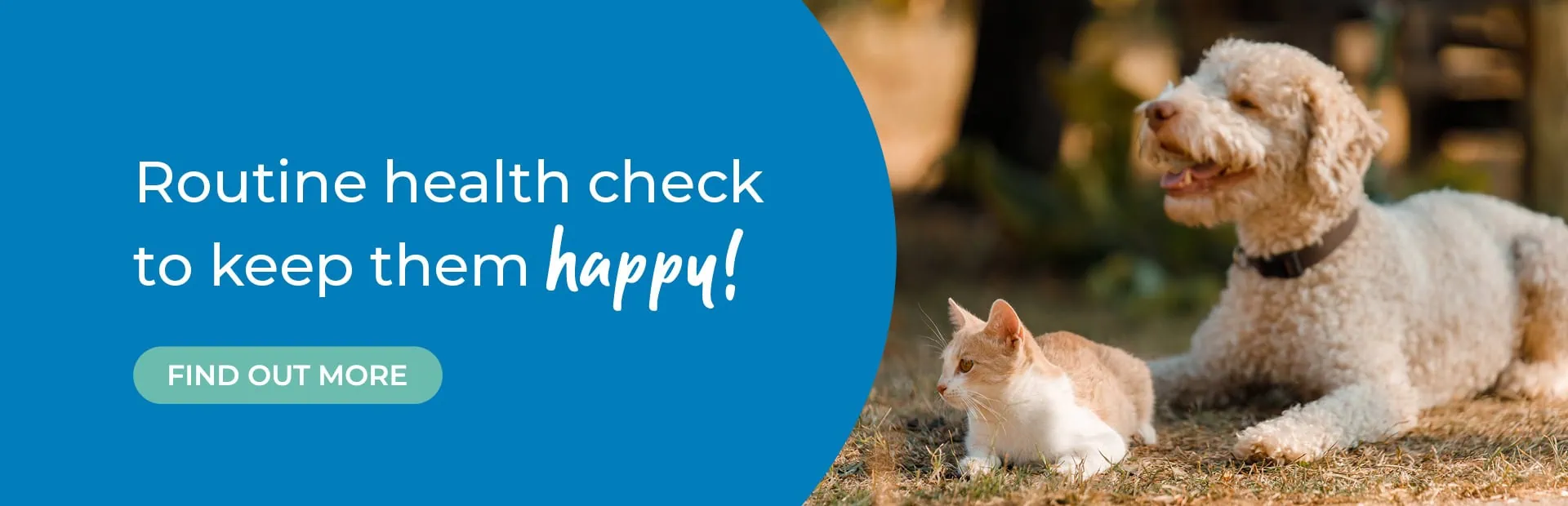 Vets in Guildford | Vets in Surrey | Oak Barn Vets