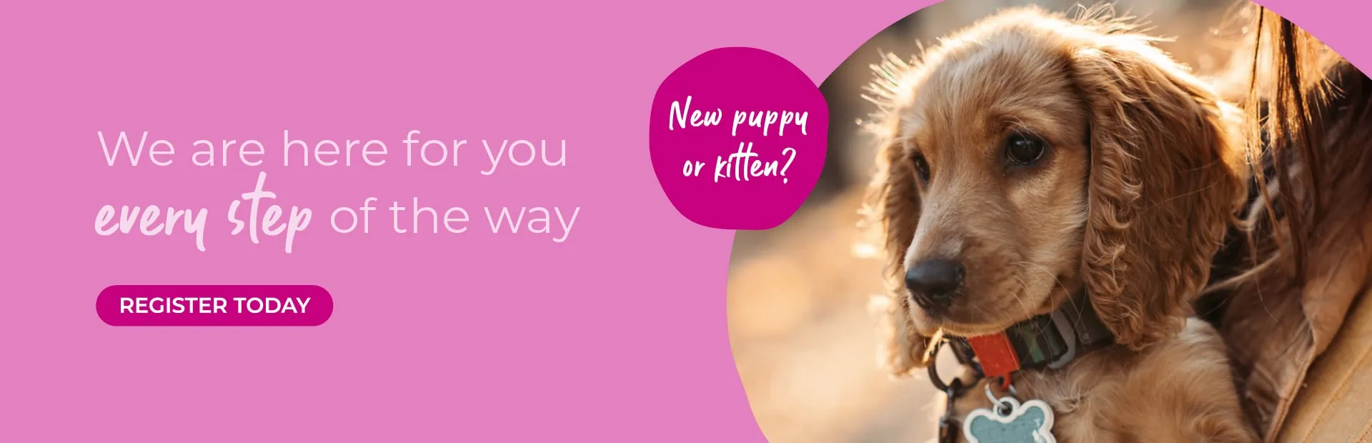 Vets in Guildford | Vets in Surrey | Oak Barn Vets